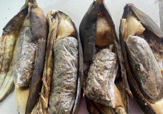 Mãe e esposa de reeducando tentam entrar em presídio com maconha escondida em bananas