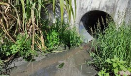 IMA flagra BRK em lançamento de esgoto a córrego de Pilar
