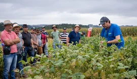 Cooperativas de agronegócio foram as que mais geraram postos de trabalho