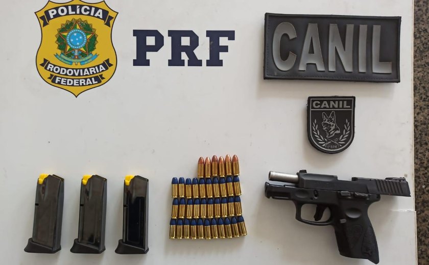 Guarnições da PM apreendem armas, drogas e recuperam veículo roubado