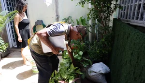 Dia D combate focos de mosquito da dengue em todo o país