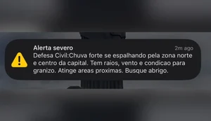 Defesa Civil emite alerta severo para chuva forte, raios e ventos em SP