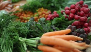 Feira Agroecológia traz produtos orgânicos para Maceió nesta sexta (22)