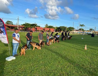 Melhores cães da raça participam de Encontro de Pastor Alemão em Maceió