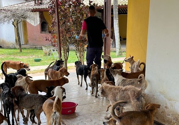 Polícia já indiciou 50 pessoas por maus-tratos a animais