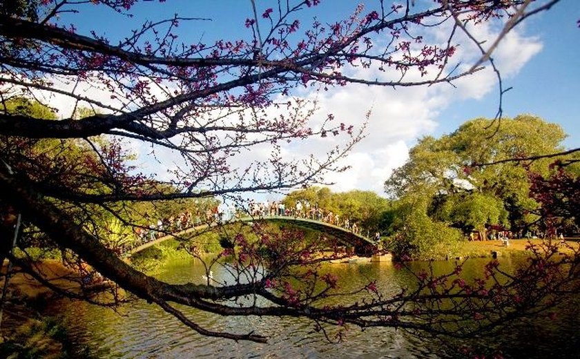 Recém-nascido é encontrado morto no lago do Parque Ibirapuera