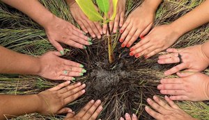 Mais de 8 mil mudas de árvores nativas e frutíferas foram plantadas
