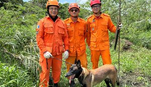 Corpo de Bombeiros atuou em 70 ocorrências envolvendo pessoas desaparecidas em 2026