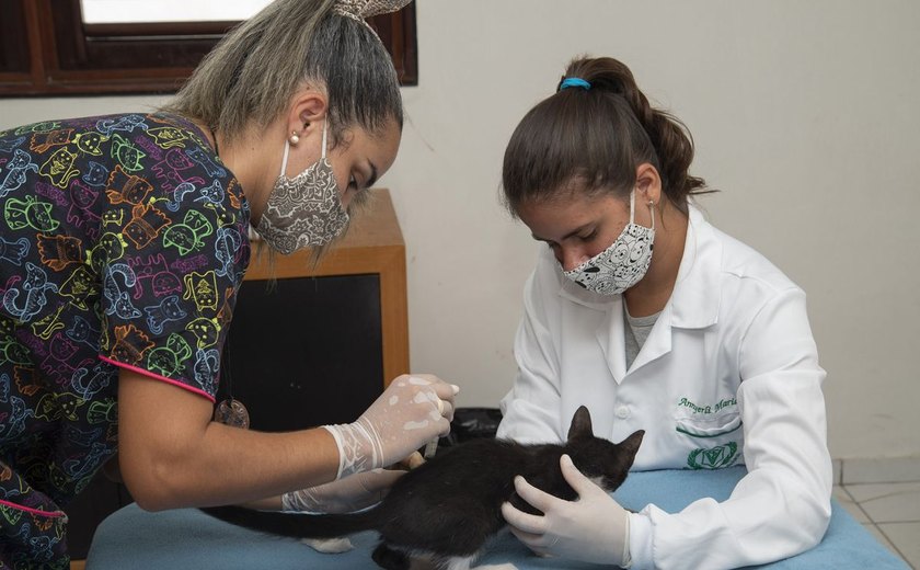 Programa de Acolhimento de Animais conscientiza sobre importância da vacinação