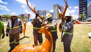Ornamentação natalina é alvo de vandalismo no Parque Massay-ó-k