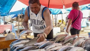 Produtores brasileiros começam a sentir efeitos da taxação dos EUA