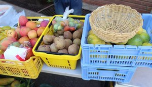 Feira orgânica e exposições acontecem na orla de Maceió neste domingo