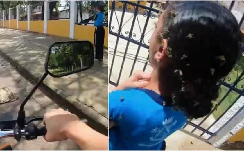 Motoboy enfrenta enxame de abelhas, leva 40 picadas e salva menina de 12 anos