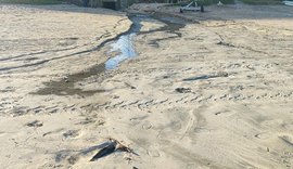 IMA autua Prefeitura de Maragogi e Verde Ambiental por lançamento de efluente no mar