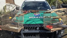 PM apreende armas e resgata animais durante fiscalização ambiental em Piaçabuçu
