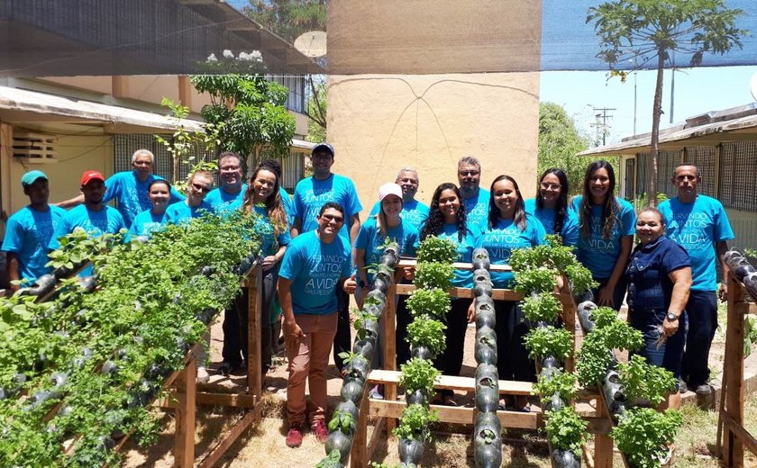 Voluntários criam horta hidropônica em escola pública de Maceió