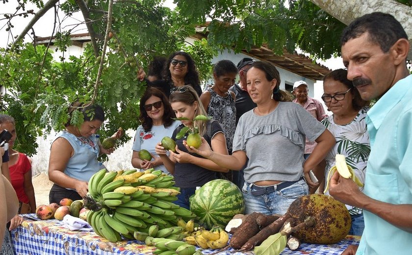 Prefeitura de Maceió incentiva agricultura familiar e melhora merenda