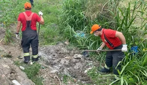 Cadáver de homem desaparecido há dois meses é achado em cova rasa em São Miguel dos Campos