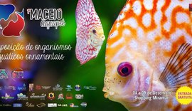 Exposição de peixes ornamentais será realizada pela primeira vez em Maceió