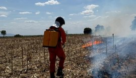 Corpo de Bombeiros registra aumento de 80% nos incêndios em vegetação em Alagoas