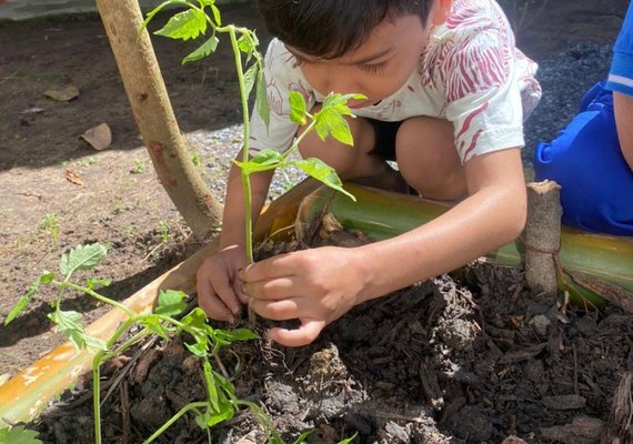 Criação de horta estimula aprendizagem de alunos de creche na Pitanguinha