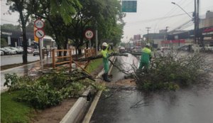 Prefeitura de Maceió realiza ações contra transtornos causados pelas fortes chuvas