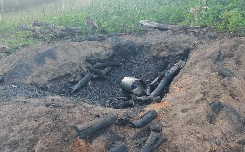 Operação Protetor dos Biomas intensifica combate a crimes ambientais em Alagoas