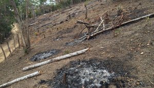 Órgãos do Estado combatem infrações e crimes ambientais na Serra dos Frios