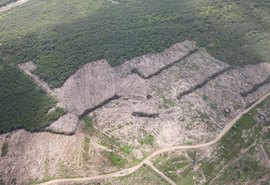 FPI embarga 1.025 hectares de terra em Alagoas por desmatamento de vegetação nativa