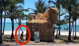 Segurança Cidadã divulga imagens do suspeito de atear fogo na escultura “O Boi”, no Jaraguá