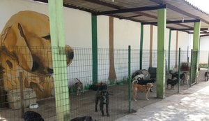 Neafa já atendeu mais de 26 mil animais de 2015 até outubro de 2017