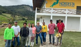 Nova própolis descoberta em Alagoas pode revolucionar tratamento anti-inflamatório