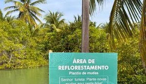 Complexo turístico ecológico Dunas de Marapé possui a maior área de manguezal em sistema de proteção de Alagoas