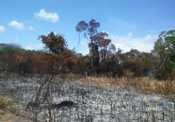 IMA investiga causa de incêndio que atingiu mata na APA de Santa Rita em Marechal