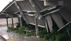 Árvore cai após chuvas e derruba parte de estrutura de terminal de ônibus em Maceió