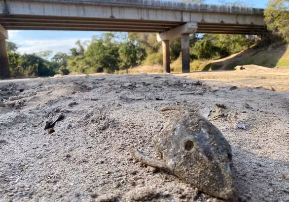 Governo abre crédito de R$ 12 bilhões para produtores rurais