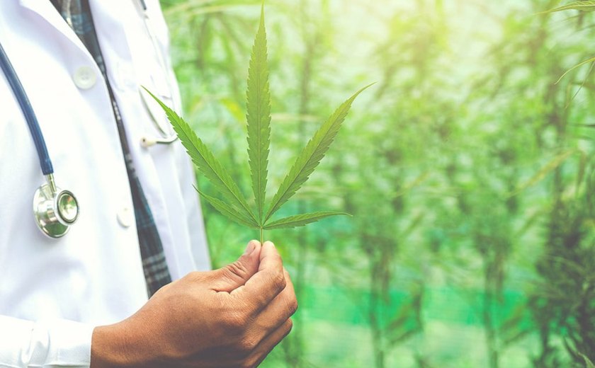 Cannabis medicinal entra em debate no Cesmac