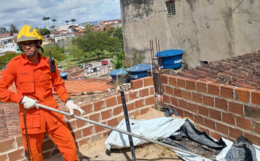 Jacaré é encontrado em cima de laje de residência em Arapiraca