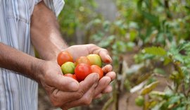 Unidades hospitalares da Sesau começam a receber produtos da agricultura familiar