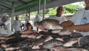 Piscicultores alagoanos comemoram aumento de vendas