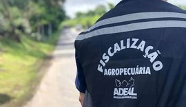 Governo cria comissão organizadora para concurso público da Adeal