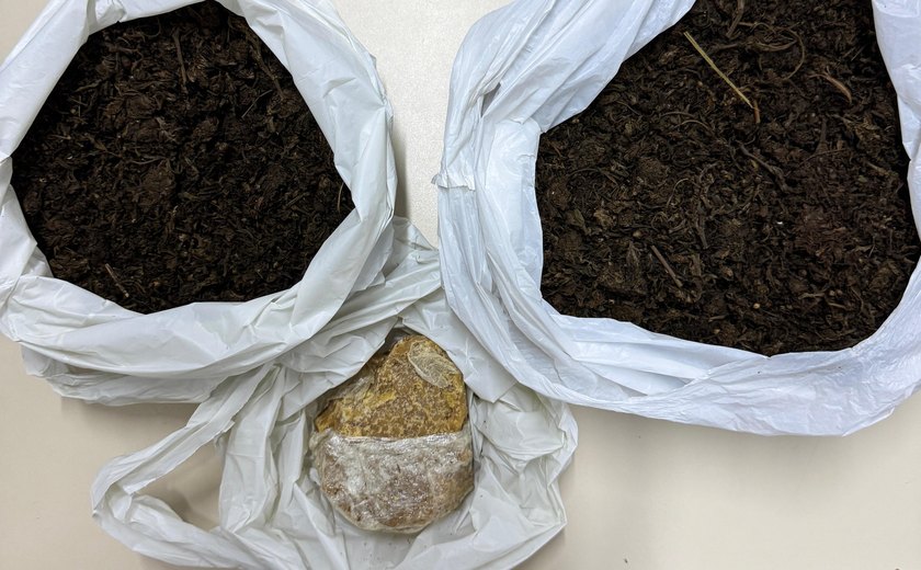 PM apreende quase 2Kg de drogas em Olho d'Água das Flores