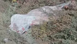 Corpo de idoso é encontrado às margens da BR-101, em São Sebastião