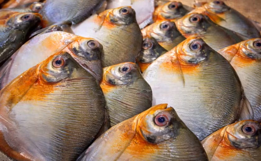 Após consumo de peixe, três casos de doença de Haff são confirmados em Itacoatiara