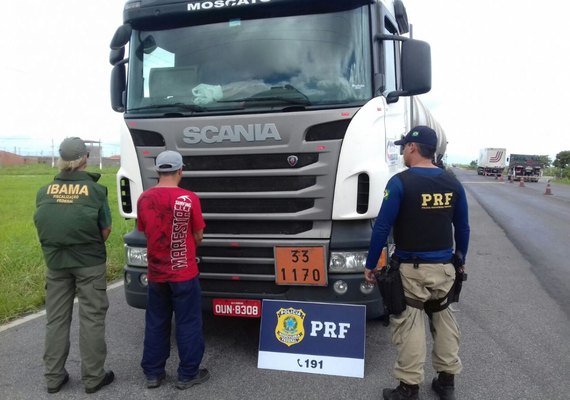 PRF e Ibama intensificam fiscalização e flagram desrespeito à Lei Ambiental