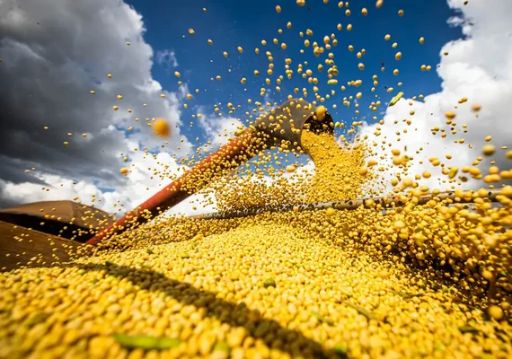 Produção agrícola brasileira superou R$ 927 bilhões em 2025