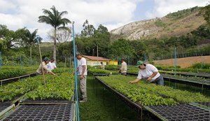 Educação ambiental e reflorestamento trazem vida à reserva da Mata Atlântica