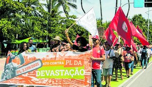PL da Devastação preocupa organizações