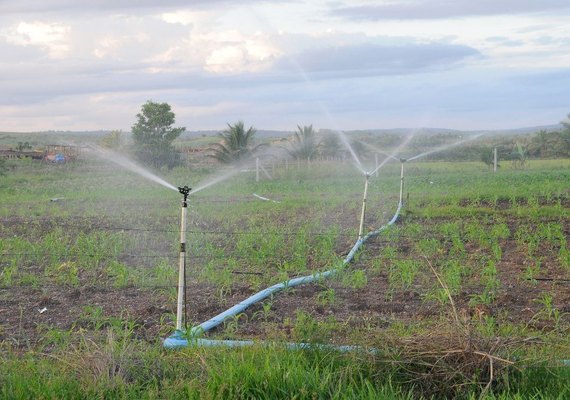 Novo programa implantado pela Codevasf em Alagoas vai fortalecer produção irrigada