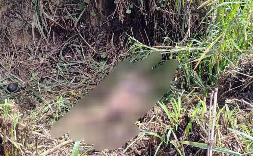 Corpo em avançado estado de decomposição é encontrado no Pilar